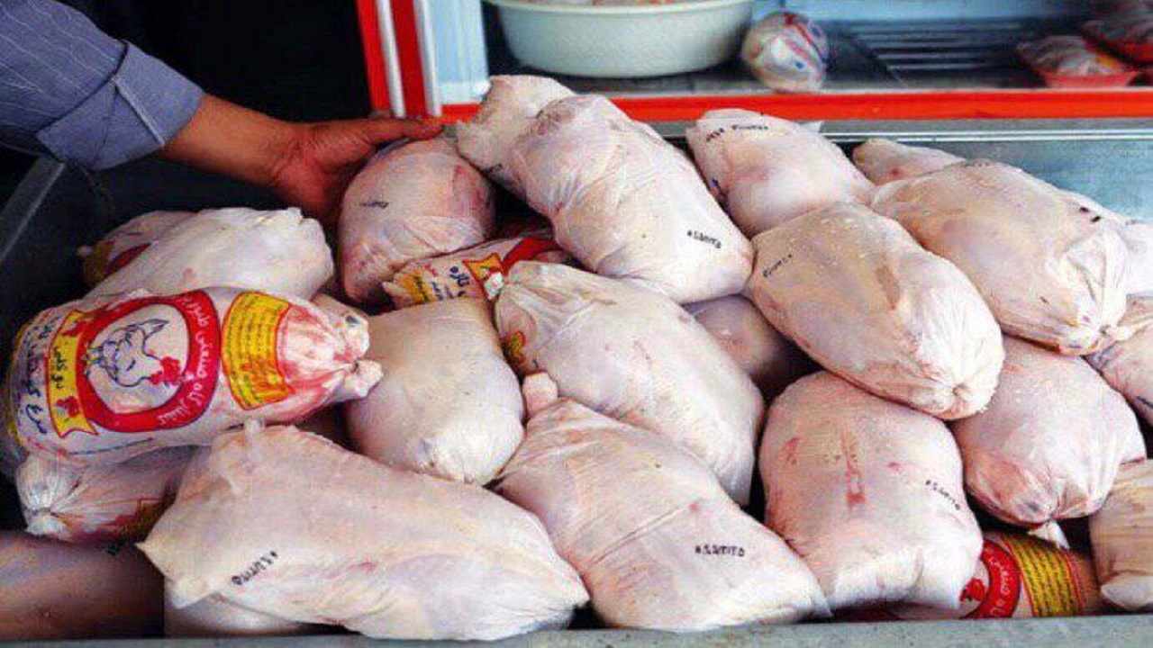 کاهش قیمت گوشت مرغ