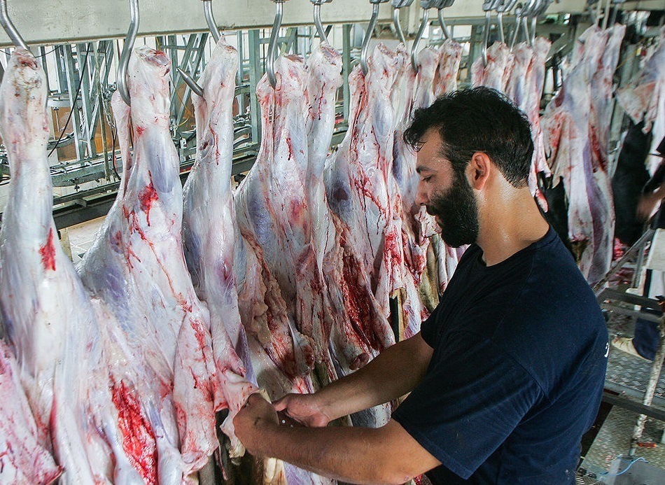 تورم سالانه تولید گوشت