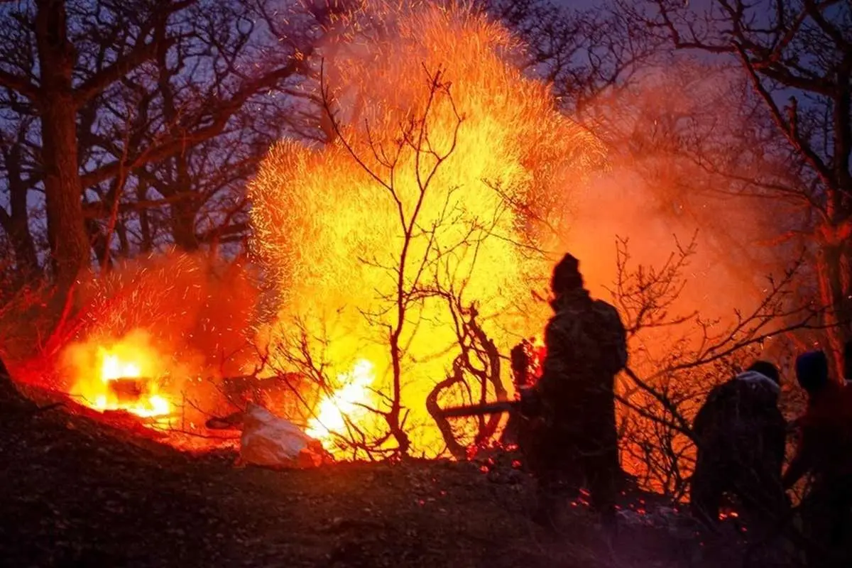 آتش سوزی جنگل الیت