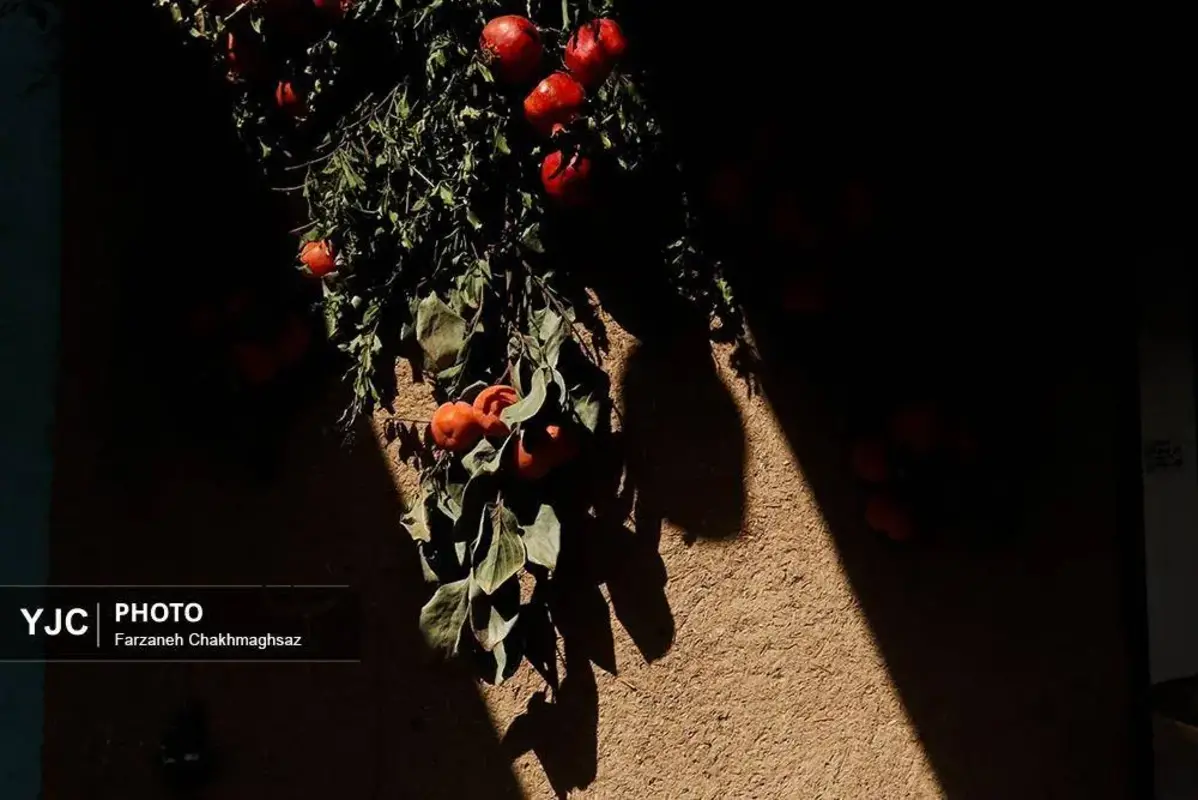 نفس پاییز در شیراز با رنگ خرمالو