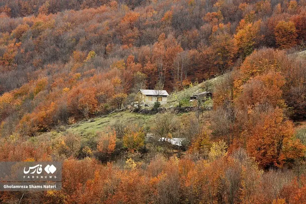 رقص پاییز با رنگ‌های خیال‌انگیز در دل کوهستان چالوس