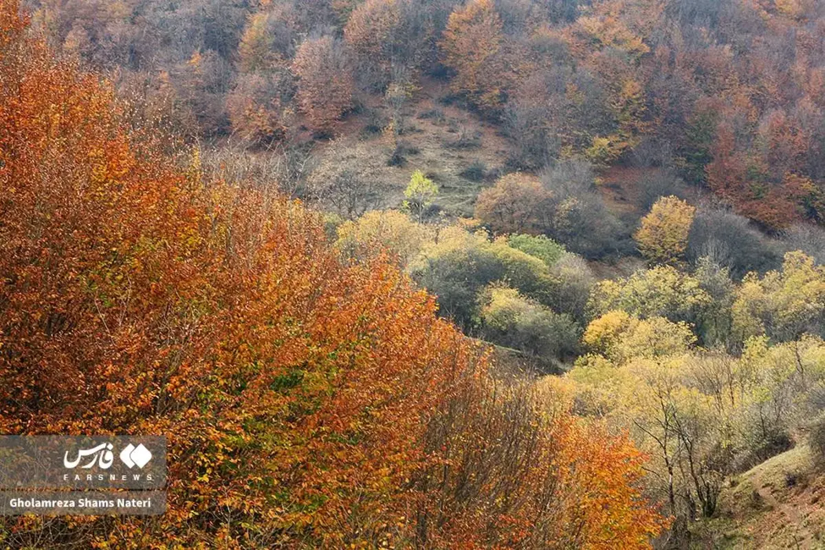 رقص پاییز با رنگ‌های خیال‌انگیز در دل کوهستان چالوس