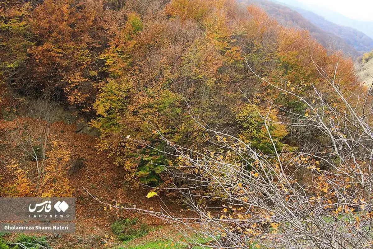 رقص پاییز با رنگ‌های خیال‌انگیز در دل کوهستان چالوس