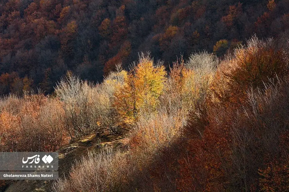 رقص پاییز با رنگ‌های خیال‌انگیز در دل کوهستان چالوس