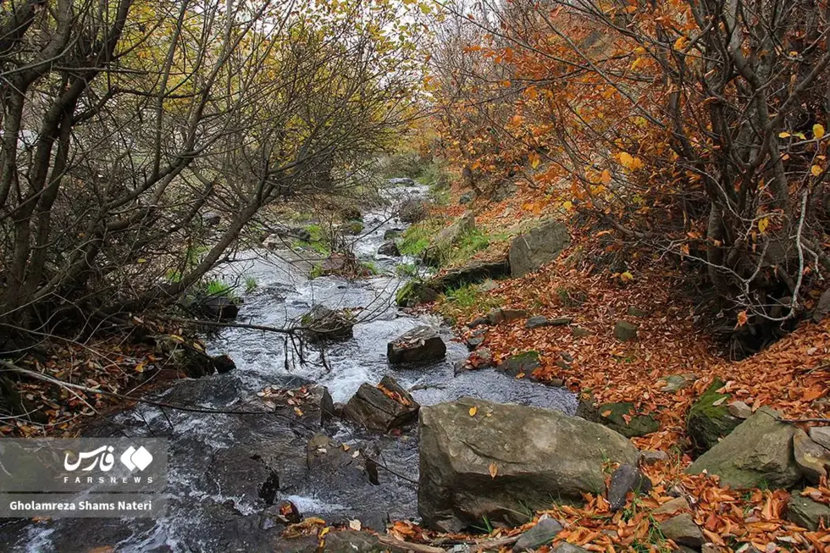 رقص پاییز با رنگ‌های خیال‌انگیز در دل کوهستان چالوس