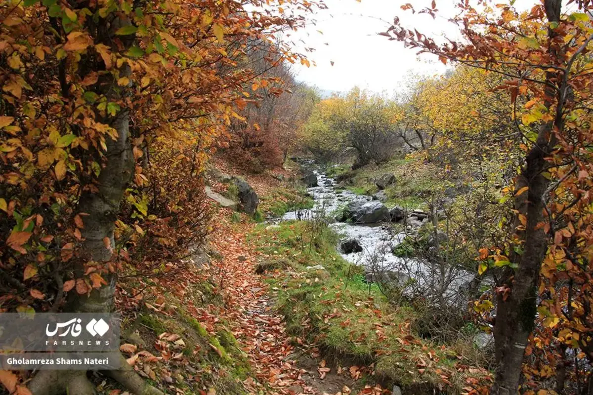 رقص پاییز با رنگ‌های خیال‌انگیز در دل کوهستان چالوس