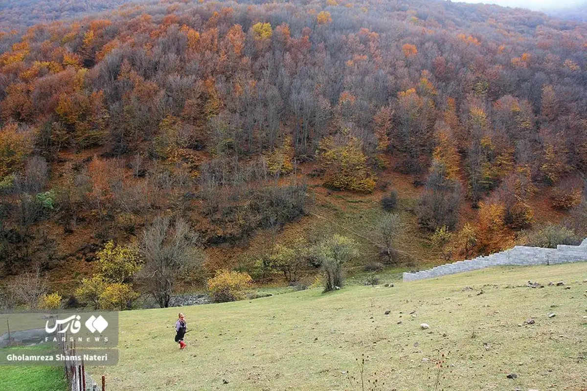 رقص پاییز با رنگ‌های خیال‌انگیز در دل کوهستان چالوس
