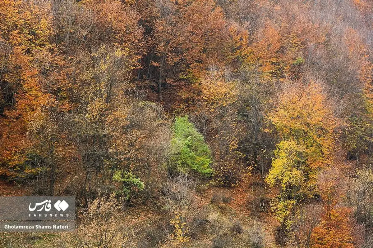 رقص پاییز با رنگ‌های خیال‌انگیز در دل کوهستان چالوس