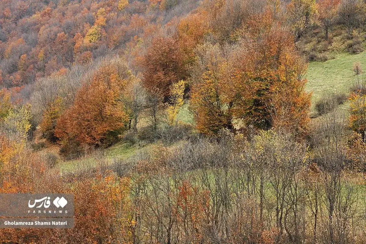 رقص پاییز با رنگ‌های خیال‌انگیز در دل کوهستان چالوس