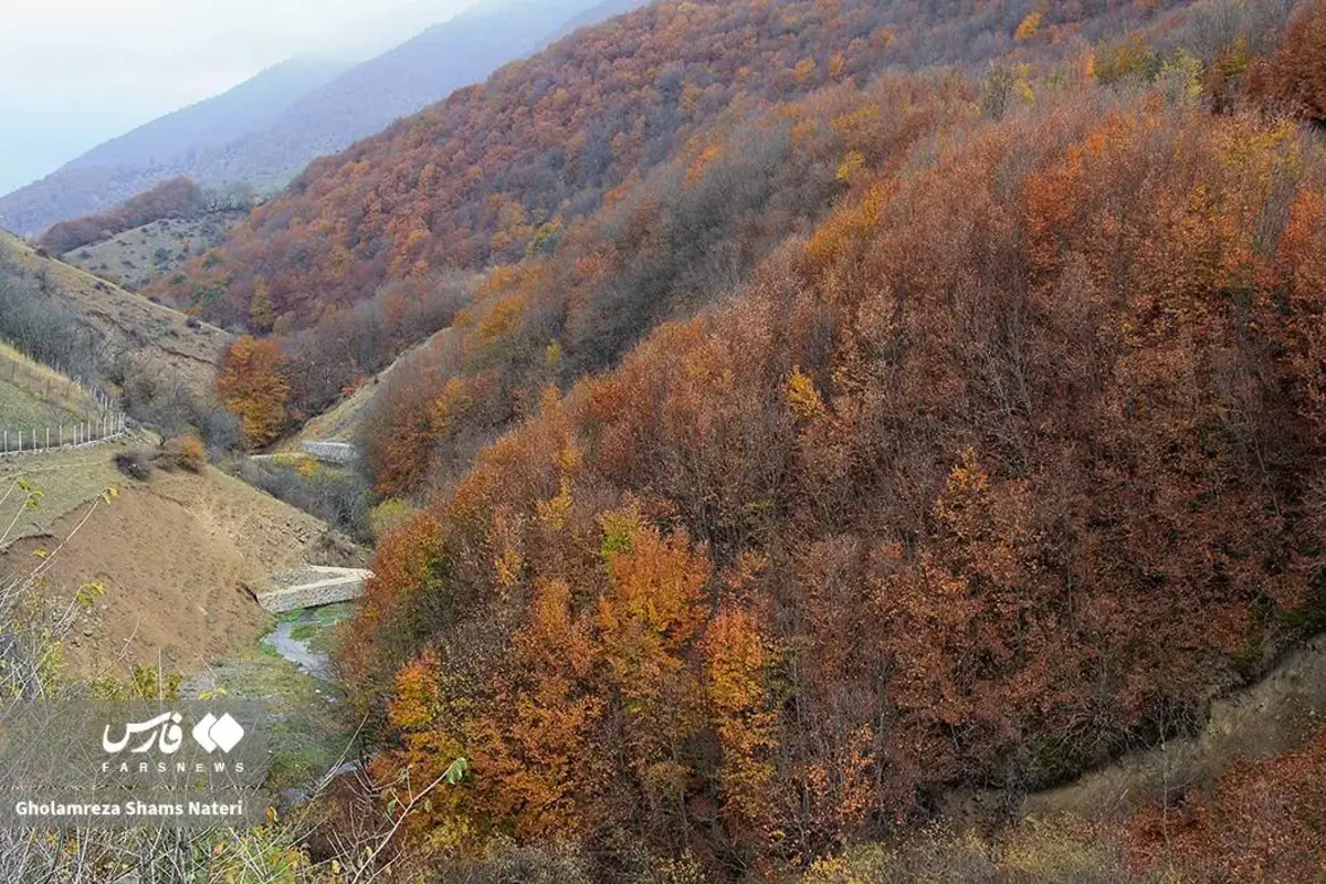 رقص پاییز با رنگ‌های خیال‌انگیز در دل کوهستان چالوس
