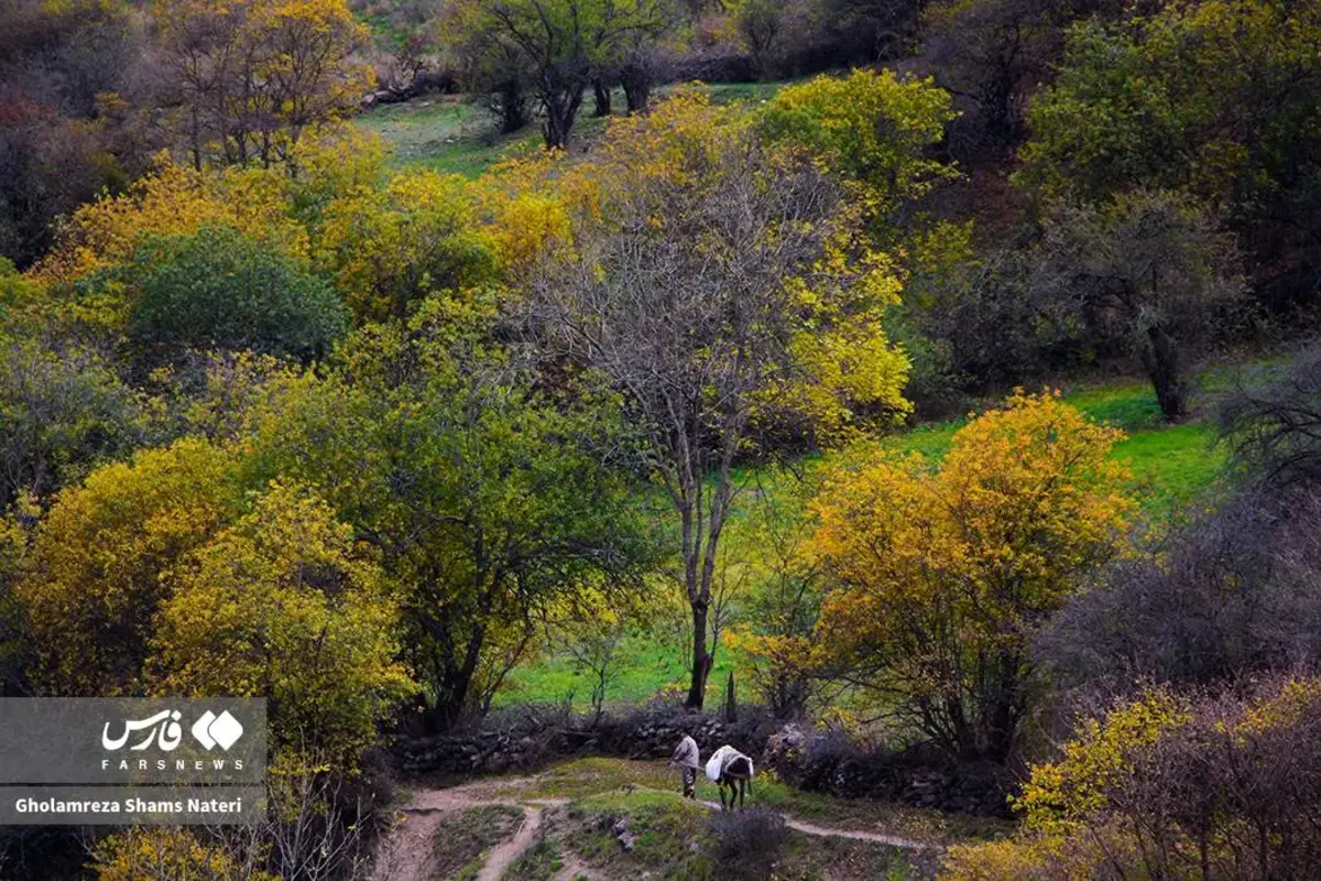 رقص پاییز با رنگ‌های خیال‌انگیز در دل کوهستان چالوس