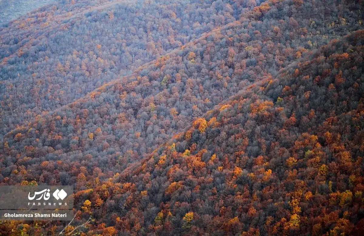 رقص پاییز با رنگ‌های خیال‌انگیز در دل کوهستان چالوس