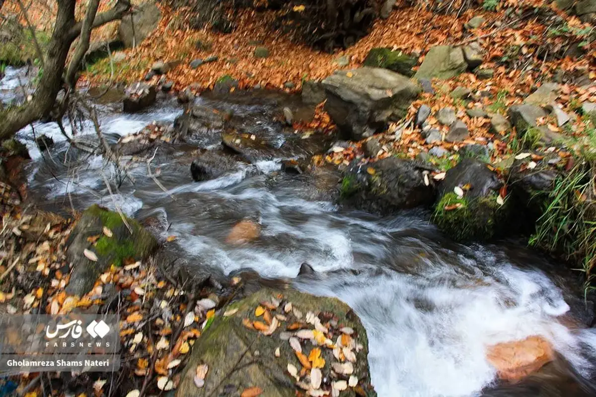 رقص پاییز با رنگ‌های خیال‌انگیز در دل کوهستان چالوس