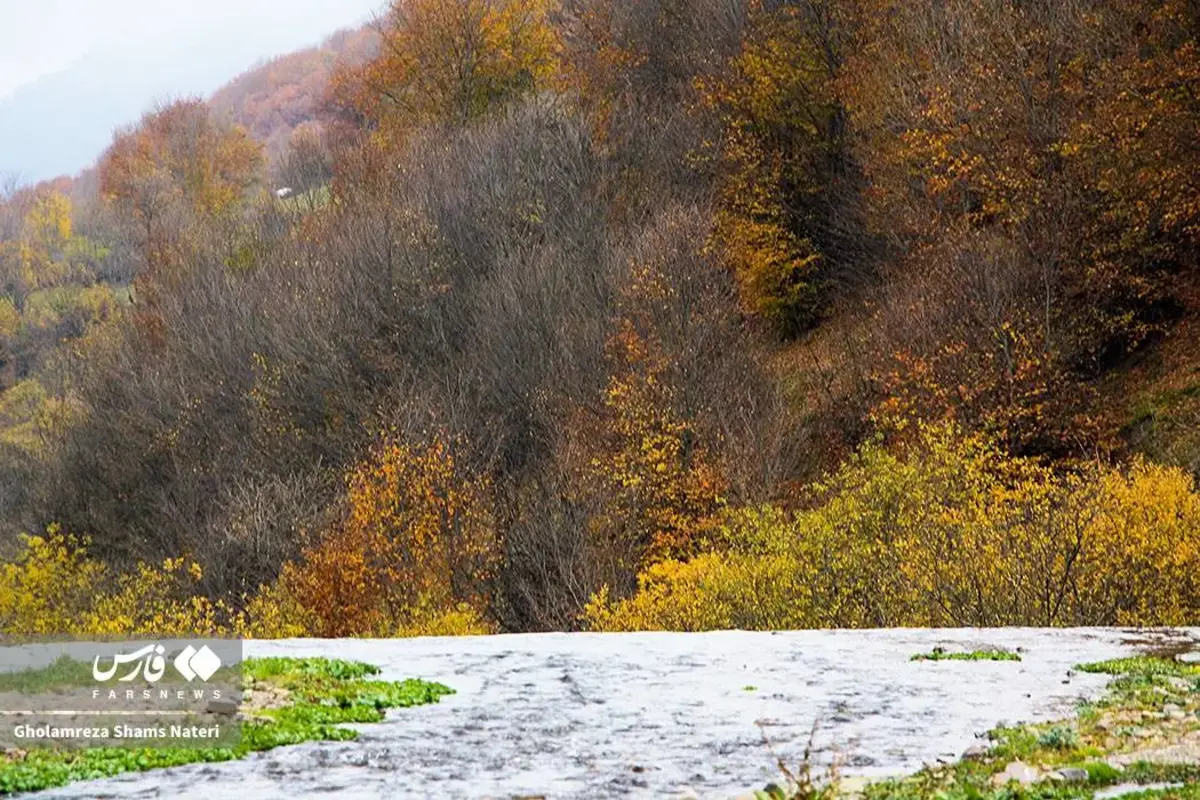 رقص پاییز با رنگ‌های خیال‌انگیز در دل کوهستان چالوس