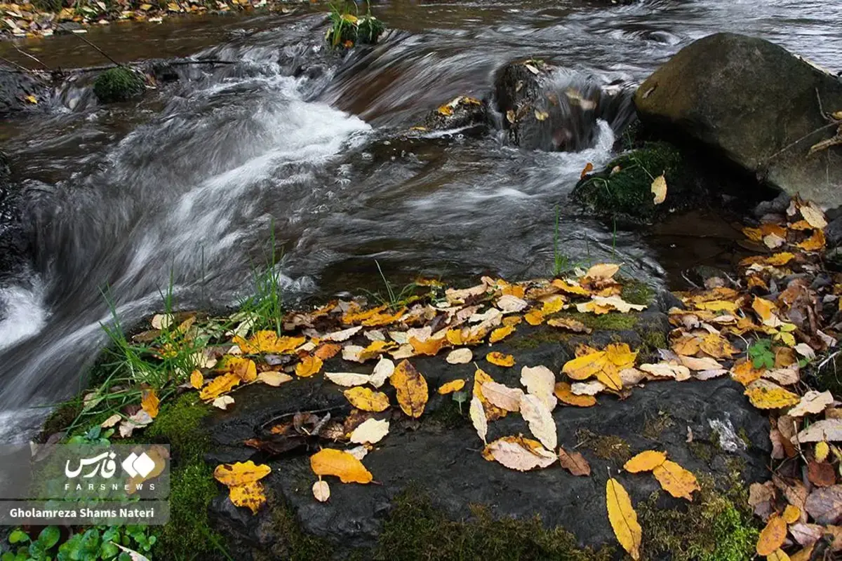 رقص پاییز با رنگ‌های خیال‌انگیز در دل کوهستان چالوس