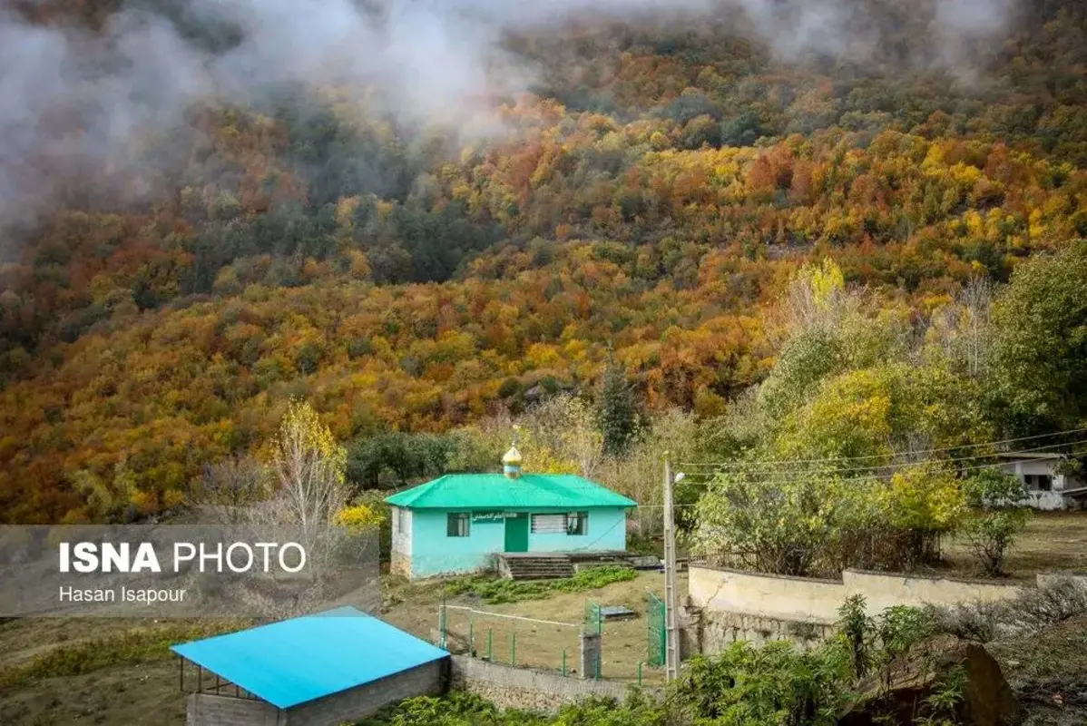 پاییز در جنگل‌های کوهستانی سوادکوه