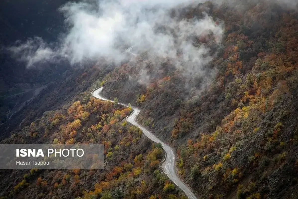 پاییز در جنگل‌های کوهستانی سوادکوه