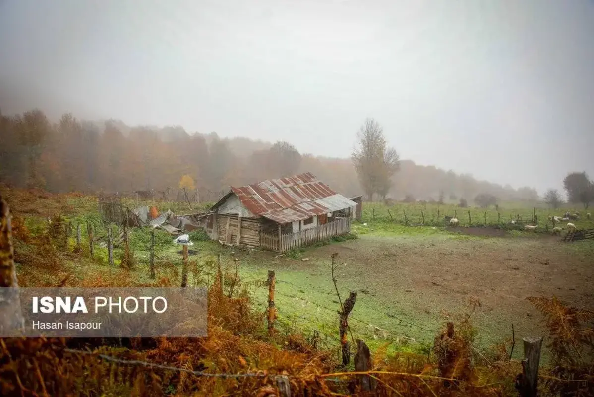 پاییز در جنگل‌های کوهستانی سوادکوه
