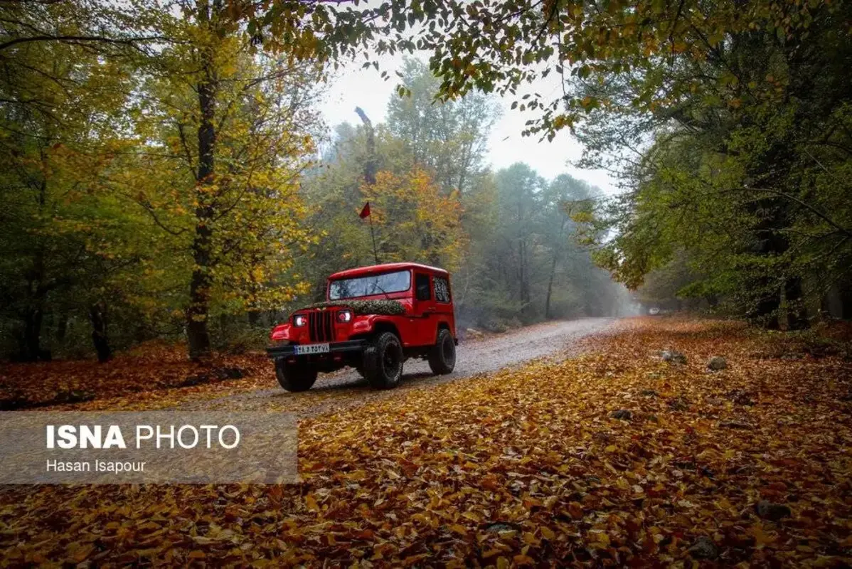 پاییز در جنگل‌های کوهستانی سوادکوه