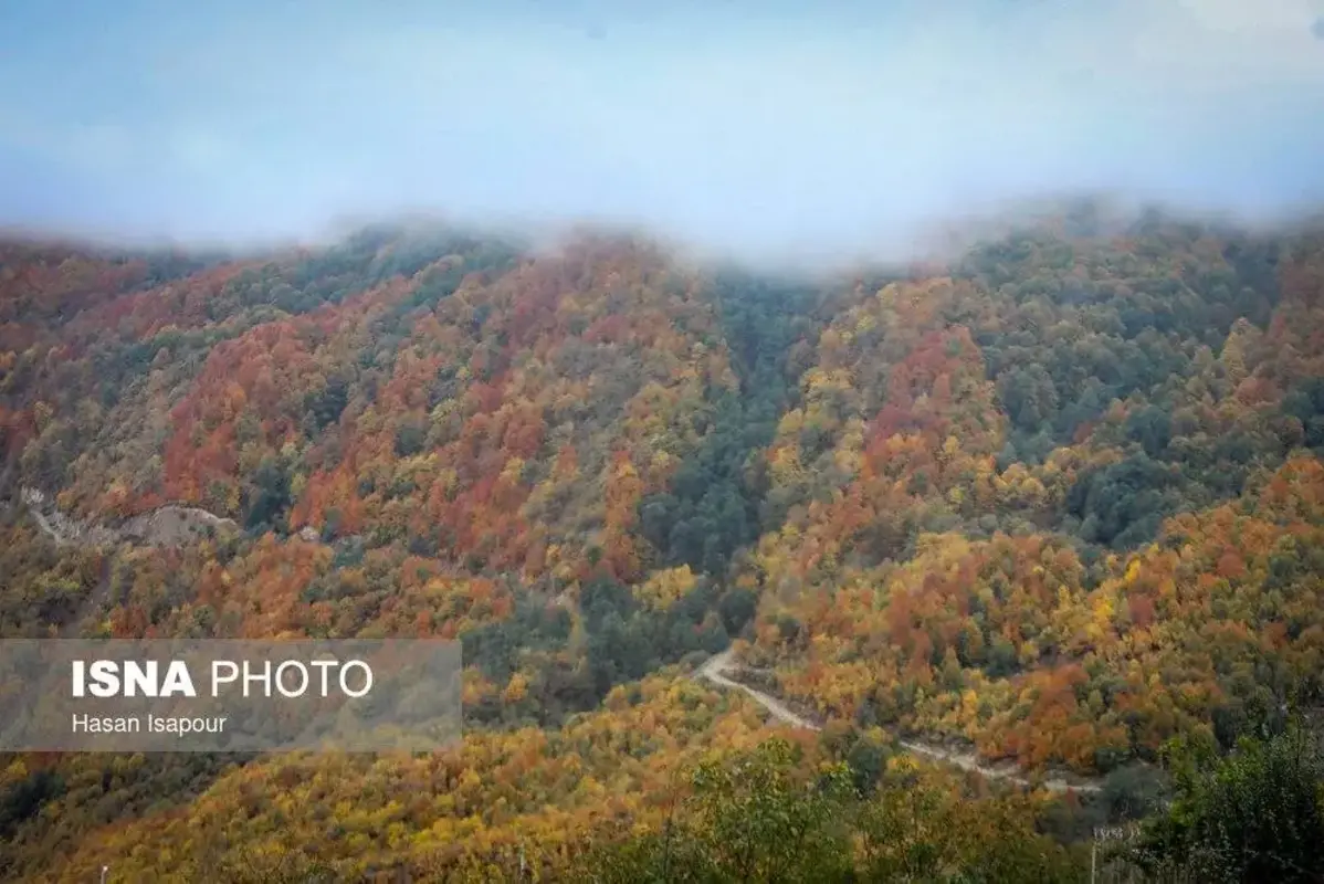 پاییز در جنگل‌های کوهستانی سوادکوه