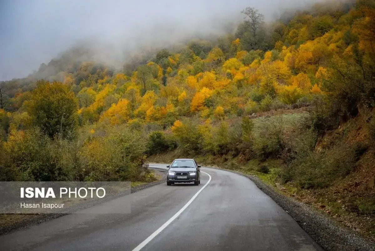 پاییز در جنگل‌های کوهستانی سوادکوه