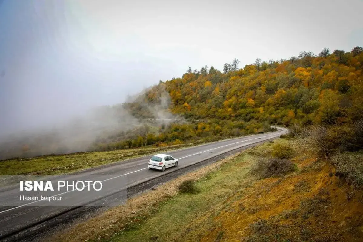 پاییز در جنگل‌های کوهستانی سوادکوه