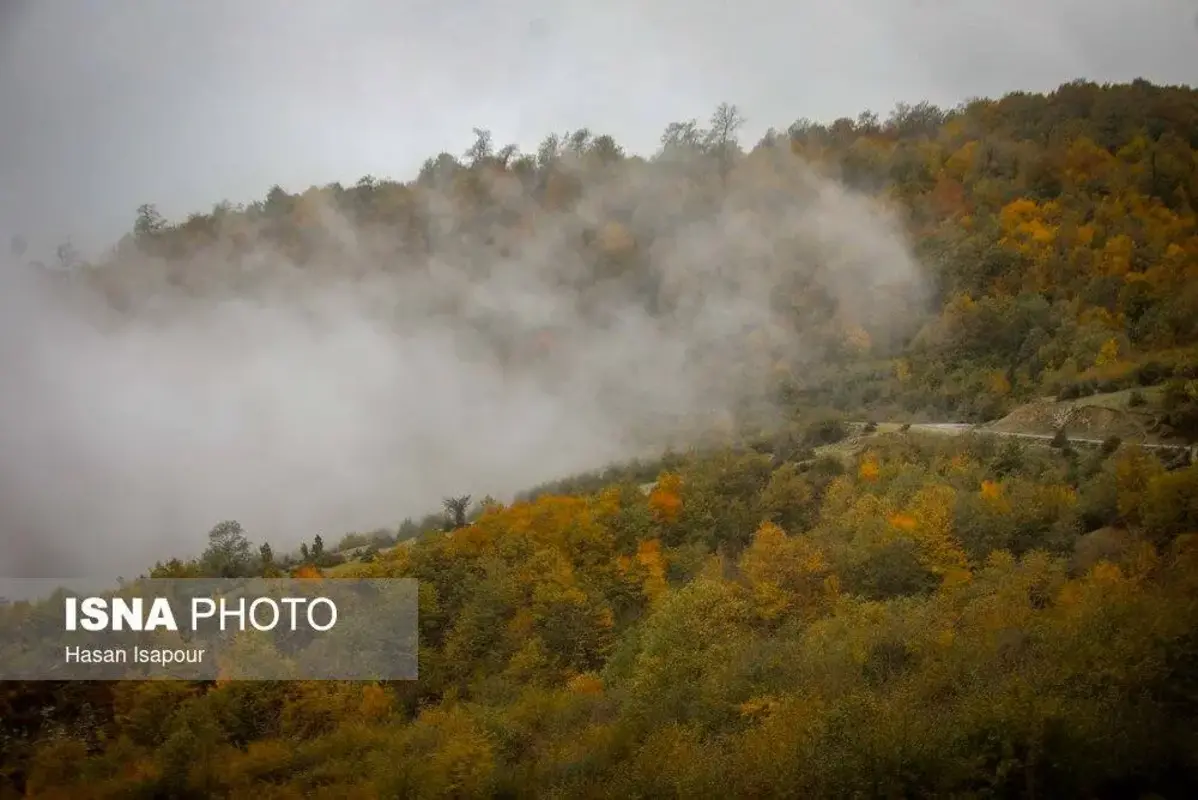 پاییز در جنگل‌های کوهستانی سوادکوه