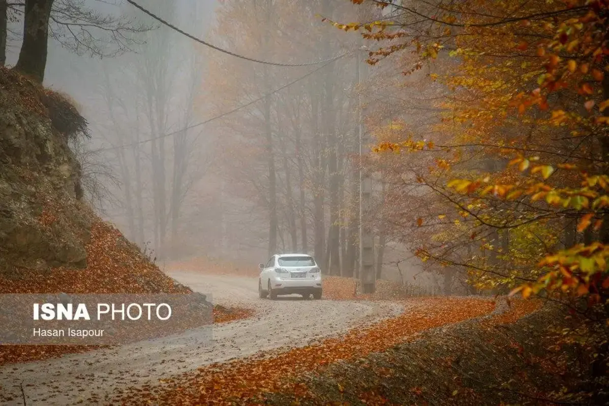 پاییز در جنگل‌های کوهستانی سوادکوه