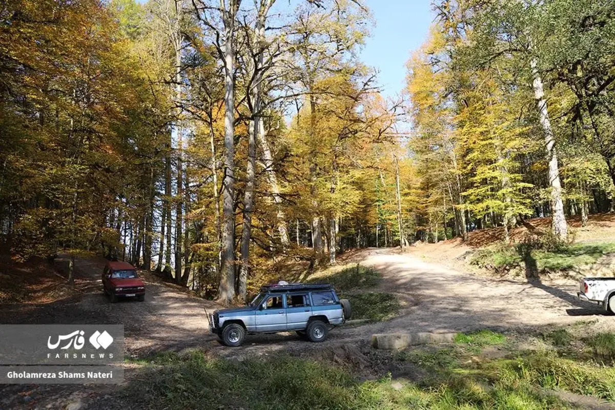 پاییز در مرداب دریوک کلاردشت