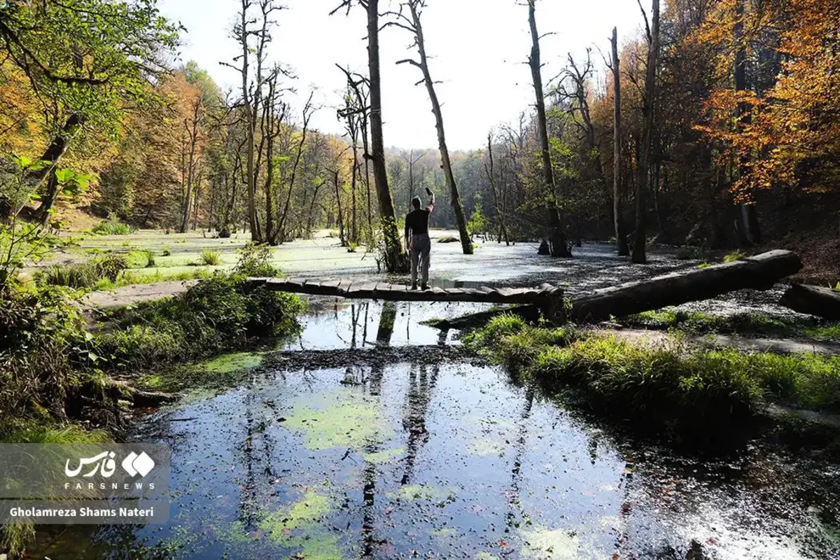 پاییز در مرداب دریوک کلاردشت