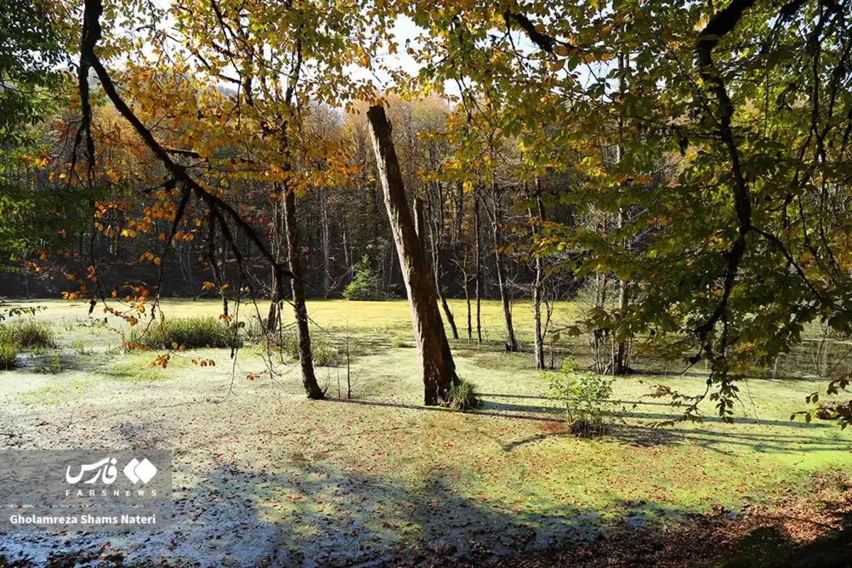 پاییز در مرداب دریوک کلاردشت