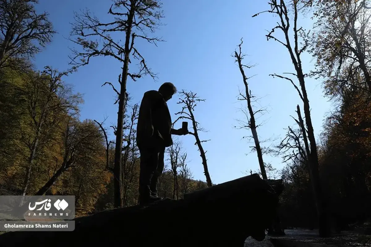 پاییز در مرداب دریوک کلاردشت