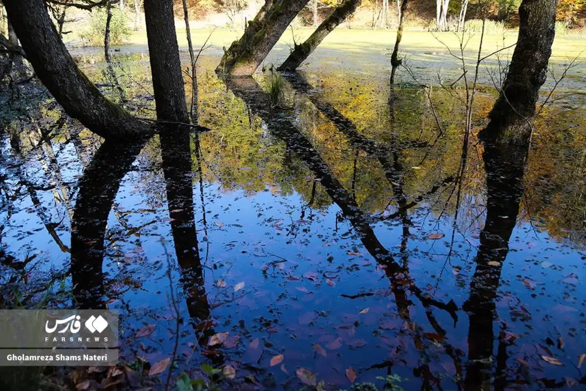 پاییز در مرداب دریوک کلاردشت