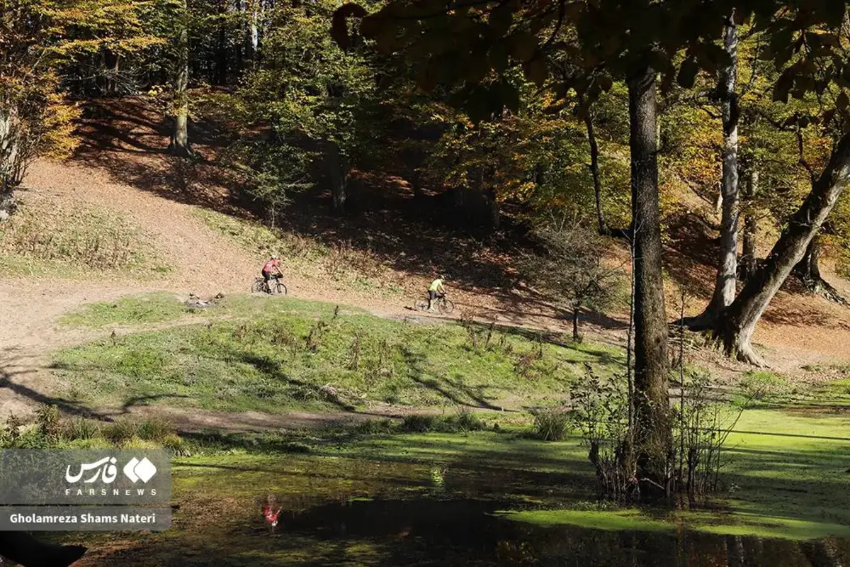 پاییز در مرداب دریوک کلاردشت