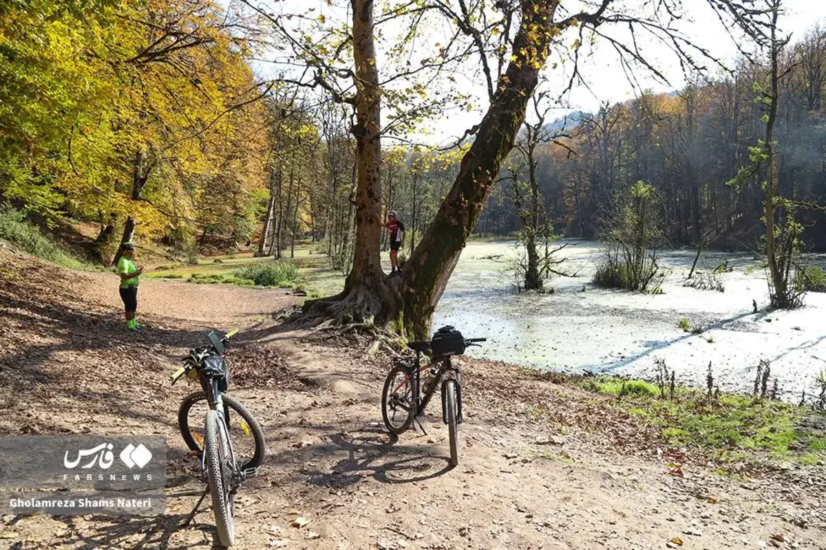 پاییز در مرداب دریوک کلاردشت