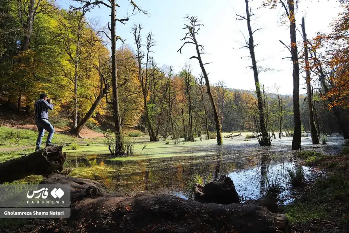 پاییز در مرداب دریوک کلاردشت