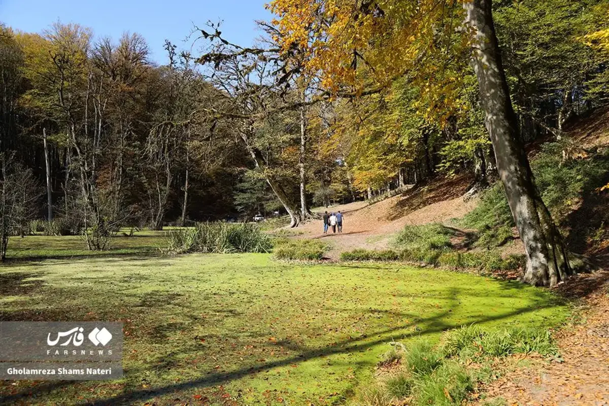 پاییز در مرداب دریوک کلاردشت