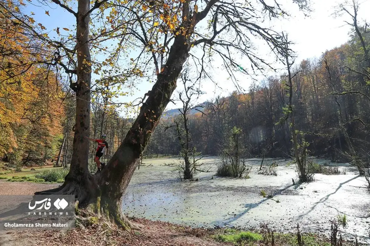 پاییز در مرداب دریوک کلاردشت