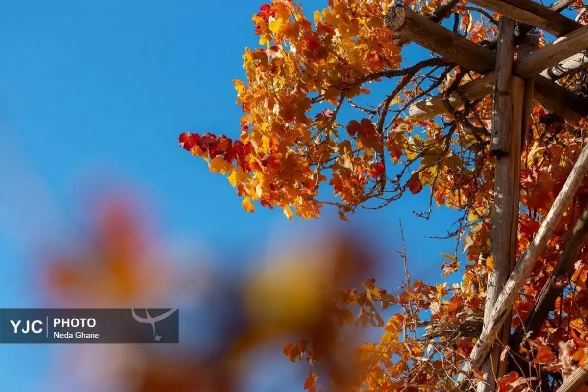 پاییز ابیانه جشن رنگ‌ها در روستای سرخ