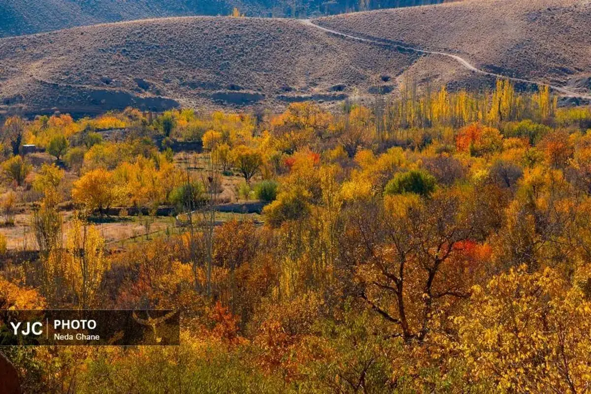 پاییز ابیانه جشن رنگ‌ها در روستای سرخ