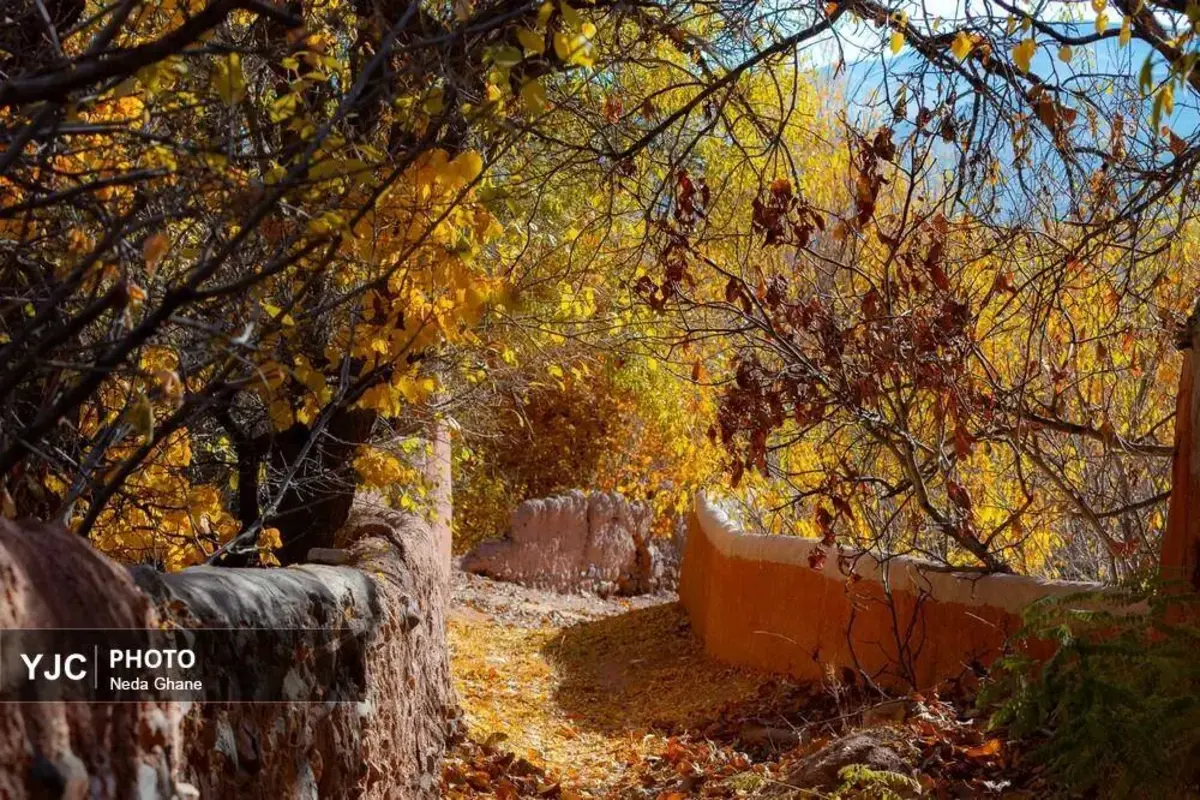 پاییز ابیانه جشن رنگ‌ها در روستای سرخ