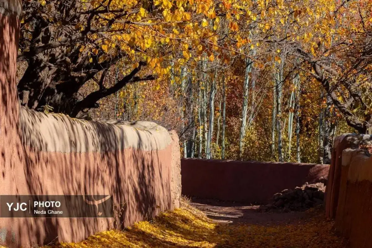 پاییز ابیانه جشن رنگ‌ها در روستای سرخ