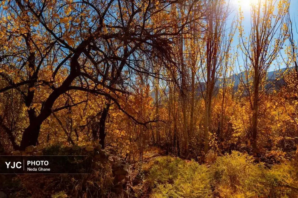 پاییز ابیانه جشن رنگ‌ها در روستای سرخ