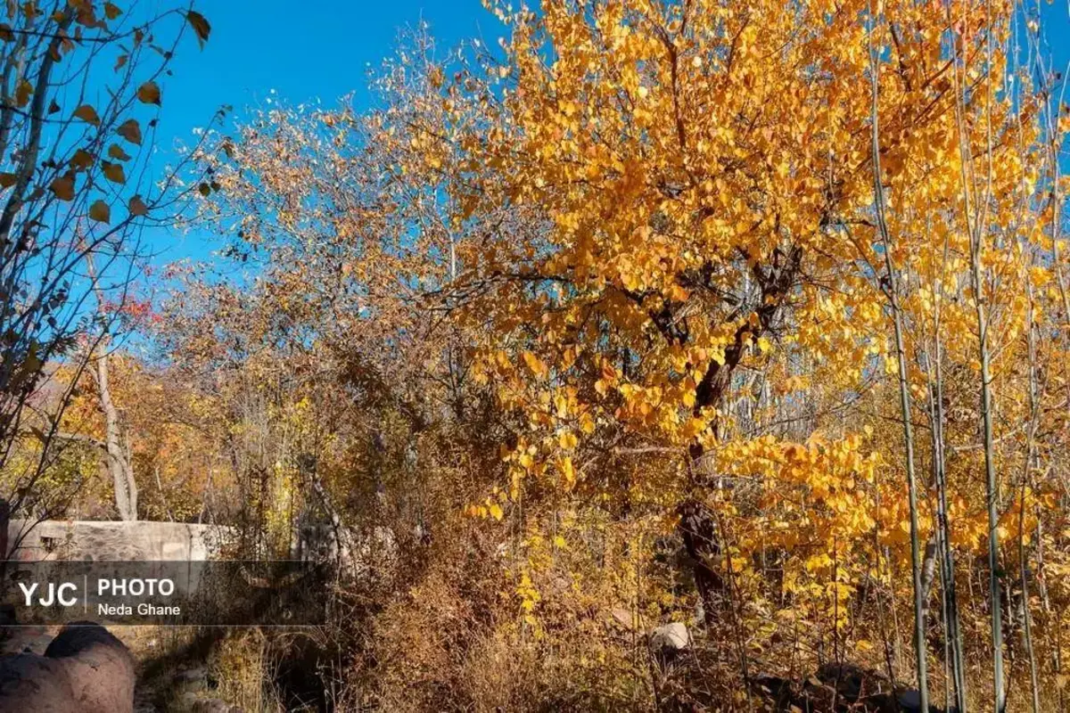 پاییز ابیانه جشن رنگ‌ها در روستای سرخ