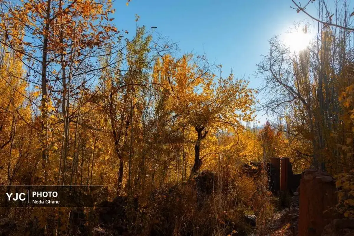پاییز ابیانه جشن رنگ‌ها در روستای سرخ