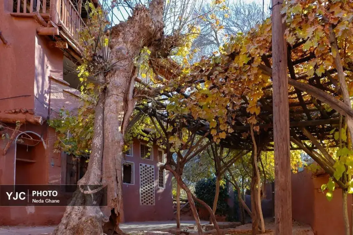 پاییز ابیانه جشن رنگ‌ها در روستای سرخ