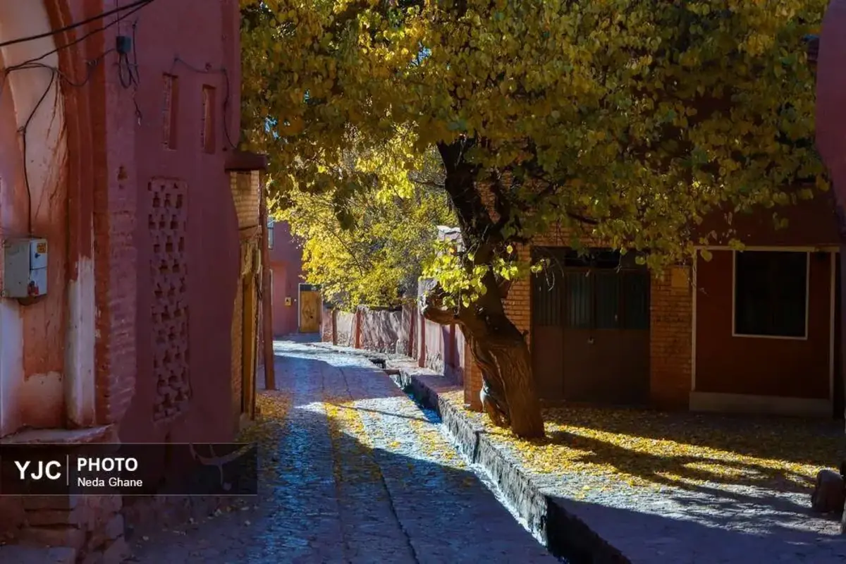 پاییز ابیانه جشن رنگ‌ها در روستای سرخ