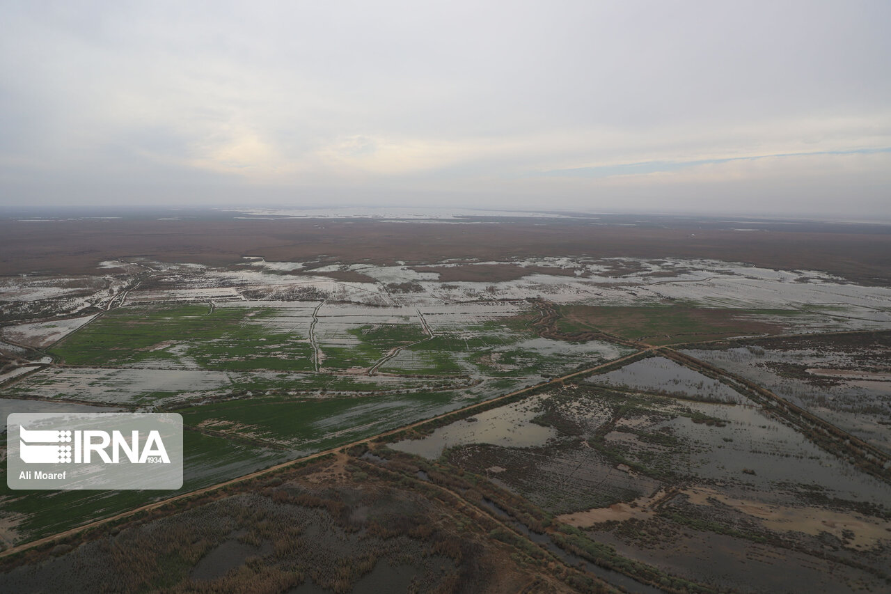 سیلاب ۵ هزار میلیارد ریال خسارت به کشاورزان جنوب کرمان وارد کرد