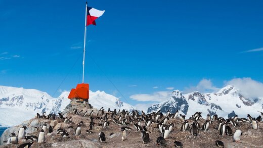 ابتلا به ویروس کرونا در قطب جنوب
