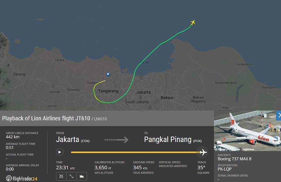 ناپدید شدن هواپیمای بوینگ ۷۳۷ اندونزی